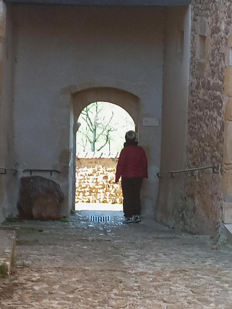 Gite De Belle Vue Semur-en-Brionnais المظهر الخارجي الصورة