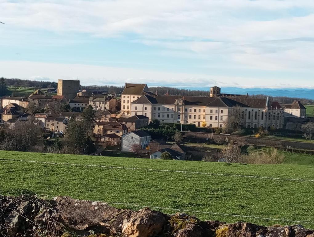 Gite De Belle Vue Semur-en-Brionnais المظهر الخارجي الصورة